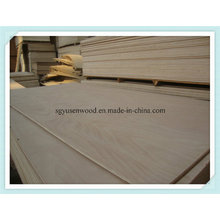 Poplar Plywood Panel for Furniture Use